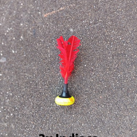 Indiaca. Vergrösserte Ansicht